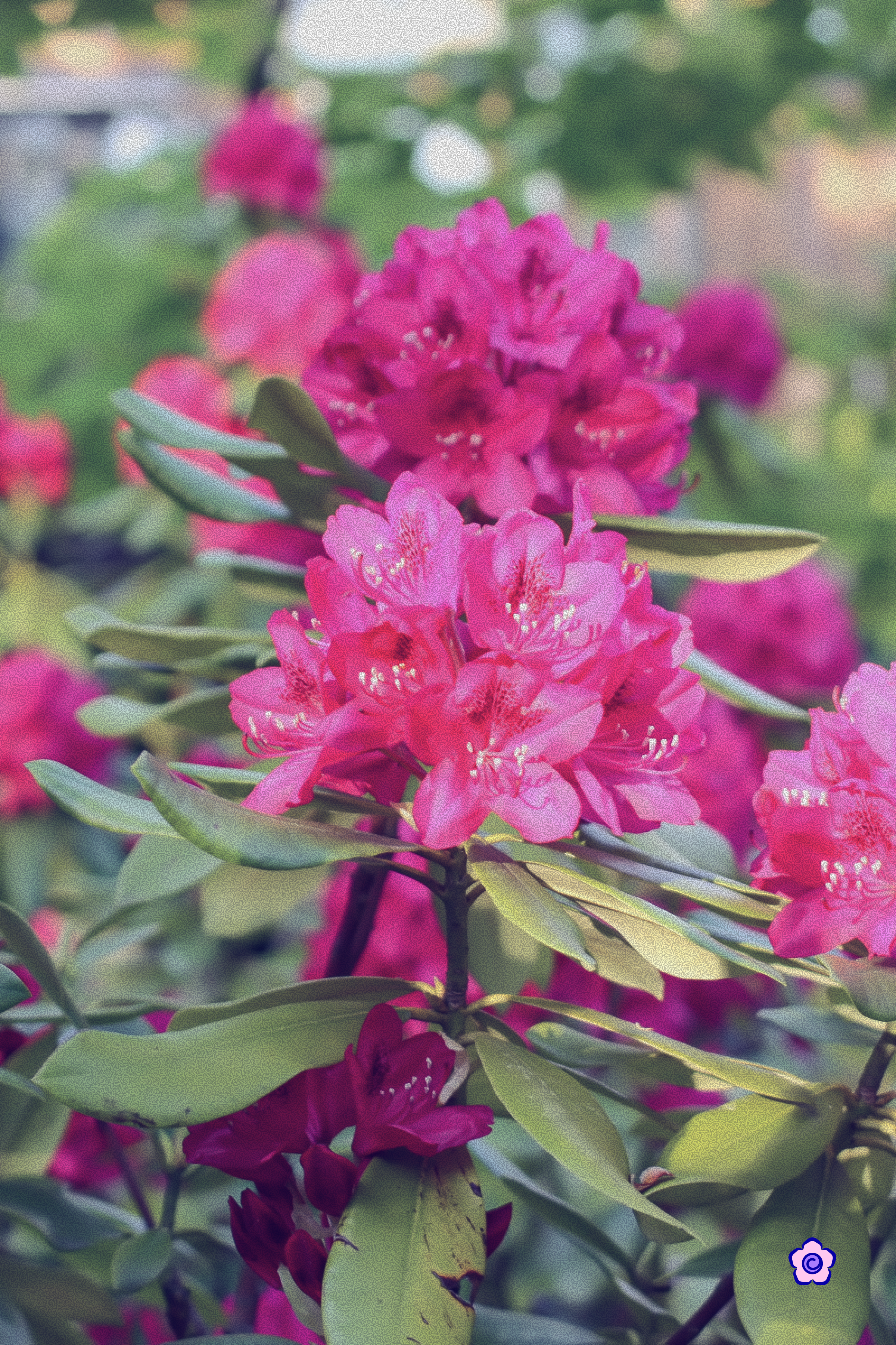 Alpine Ember Wrap Skirt